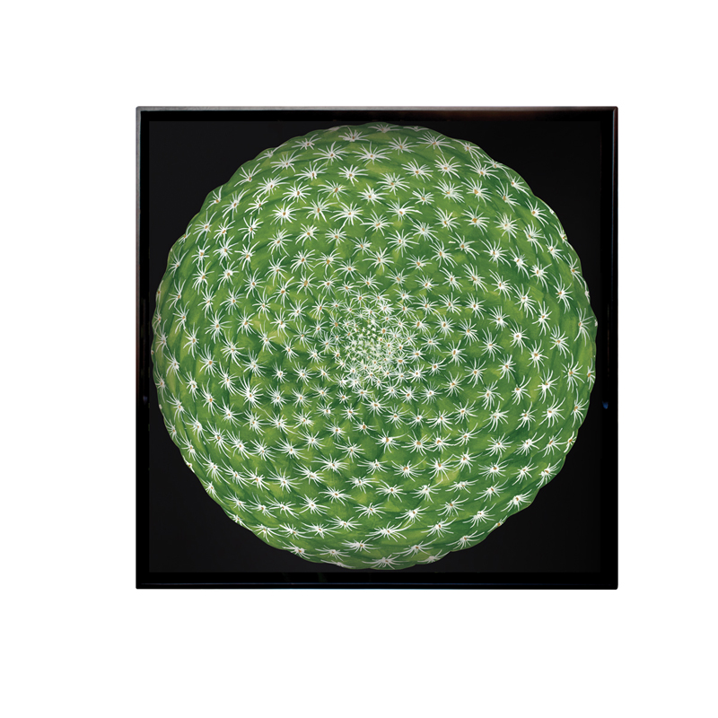 Tablett quadratisch 45x45 cm Cactus Taitù